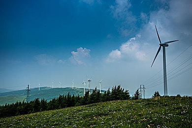 《博德之门3》“隐藏服装”功能太彻底 多位主播中招